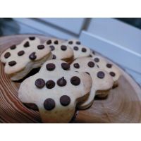 whatsapp image 20230110 at 15.01.37 1