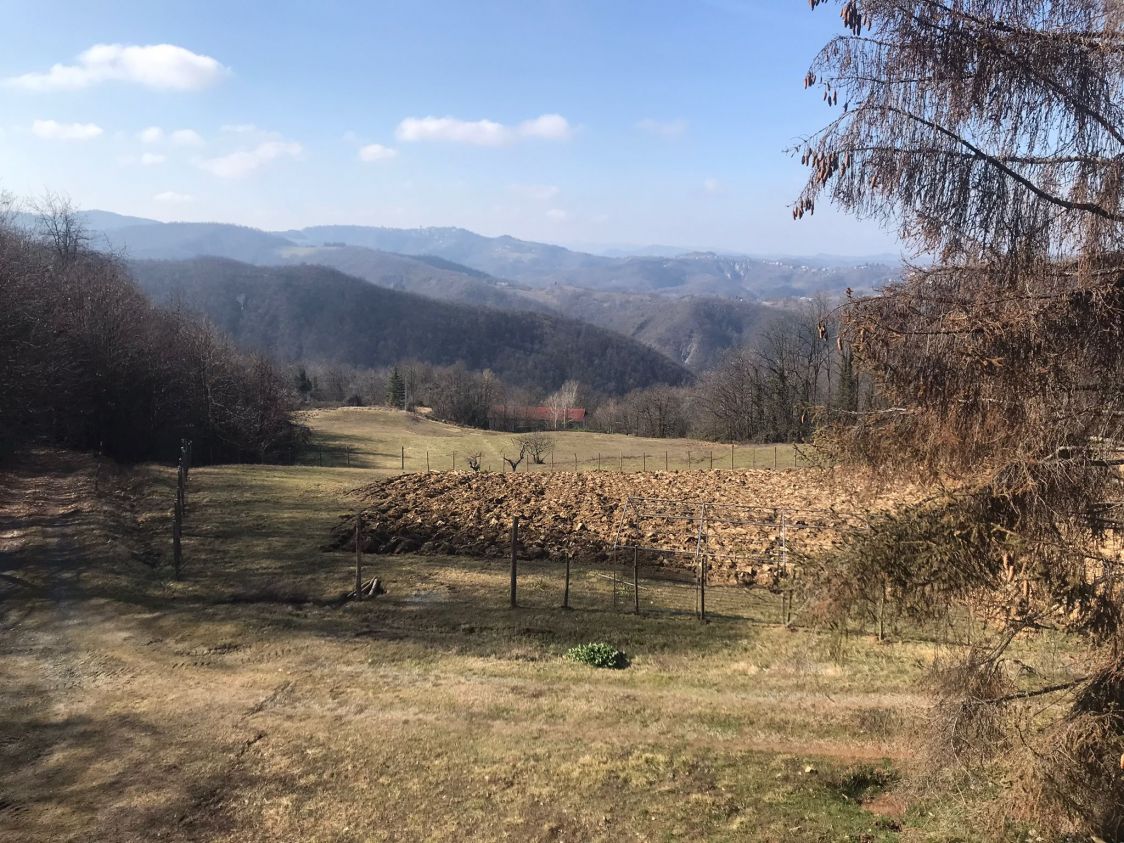 cascina delle stelle