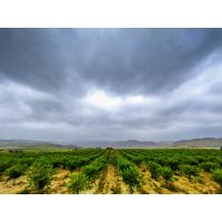 photo_20220506_1934255