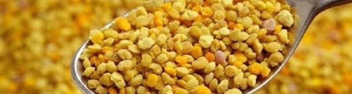 Apicoltura Biologica Metalori Aldo