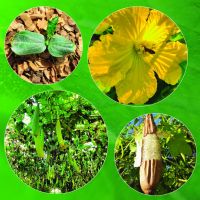 prime14 scrivibile cata 23  03