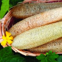 prime14 scrivibile cata 23  07