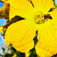 prime14 scrivibile cata 23  09