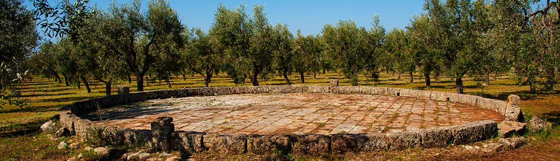 Piana del Lentisco - Frantoiani dal 1856