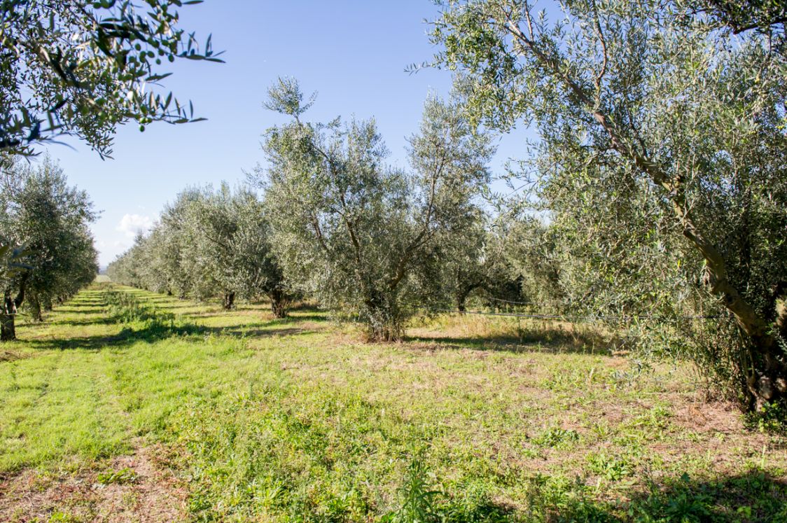 laRiservaBio az. agr. di De Rossi Anna Maria