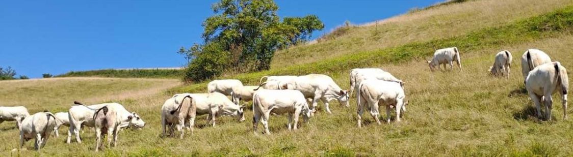 Azienda Agricola Giraudo