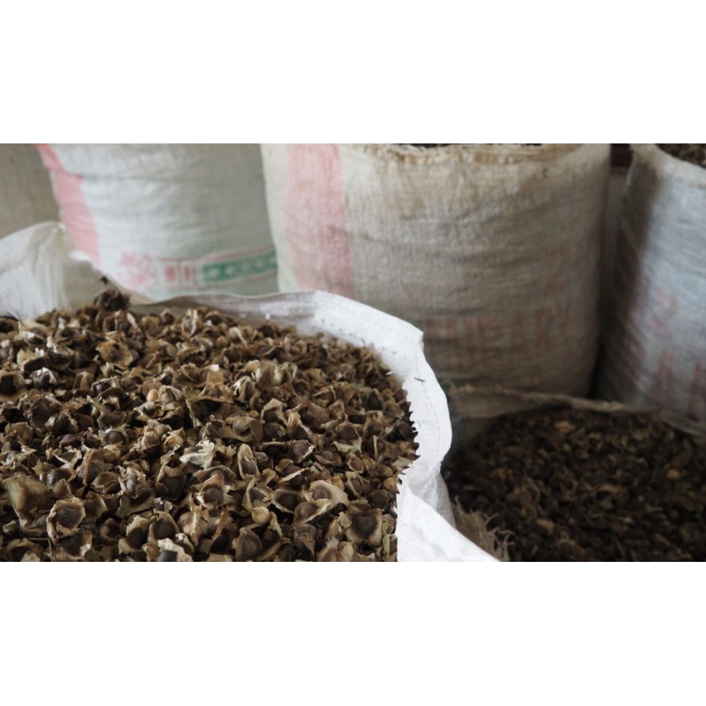 Balsamo Labbra Moringa Wave uso cosmetico