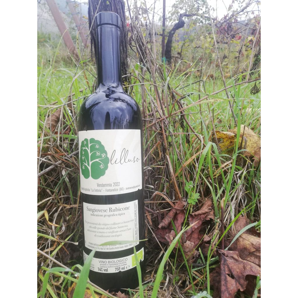 Vino Sangiovese LILLUSO - 750 ml x 6 bottiglie