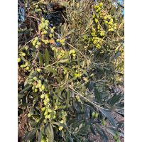 22cb1ca0-3ba9-448c-a5c0-a5190385f8c4