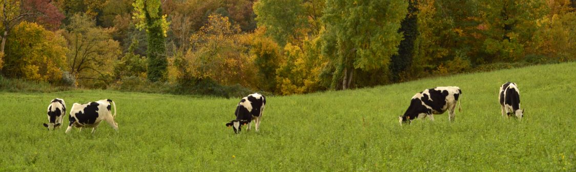 Societ&agrave; Agricola Biavardi