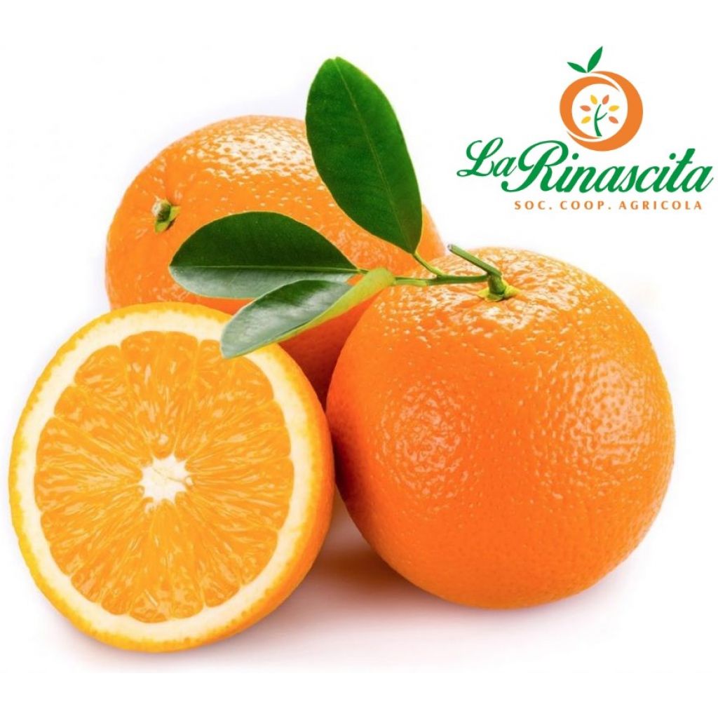 CONFEZIONE ARANCE NAVEL I&deg;CATEGORIA - 20 KG