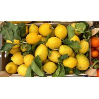 5e3675b4a3cb4eb4bbe3082afa4c80f1