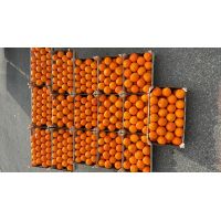 830ce265eda14251aa2420b479311686