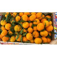 873d5462340e459eb54c3835b314ff55