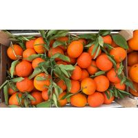 9654a5ccb9894c959bda4a90d83fbbb6