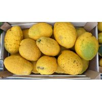 ae00017b4ef04e9ca17e6e12d4e26e72