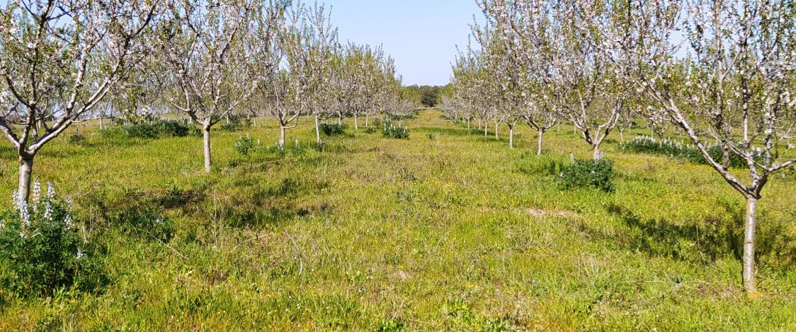 Azienda agricola Sili Mariano