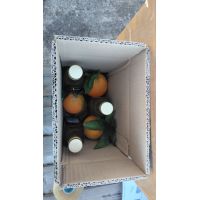 box bott olio e agrumi