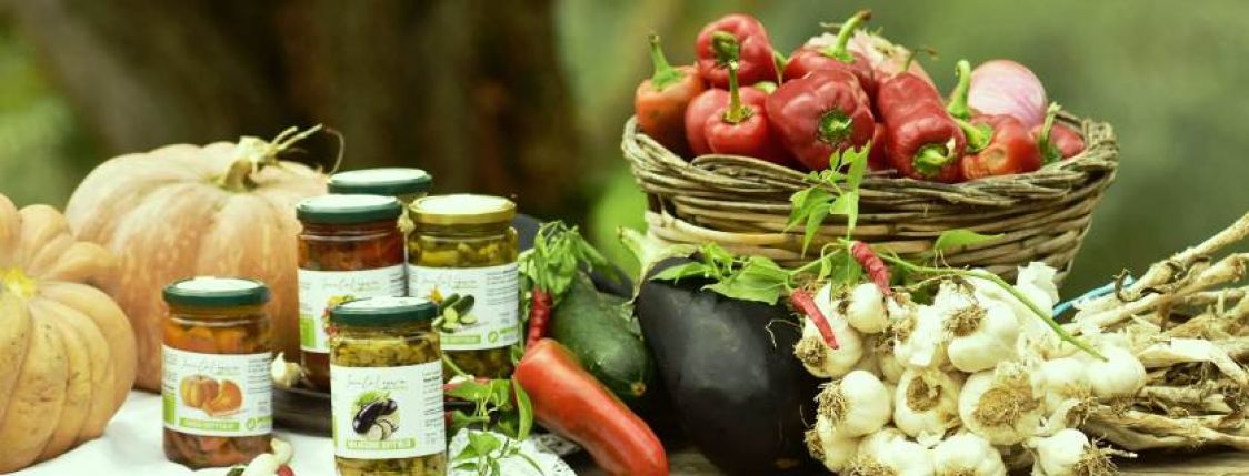 Tenuta Vegezio di Giuseppe Vegezio