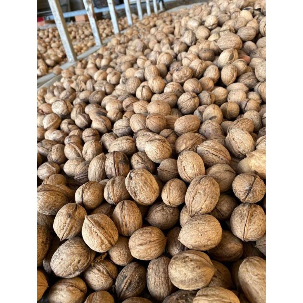 NOCI DEL POLLINO 100% BIO