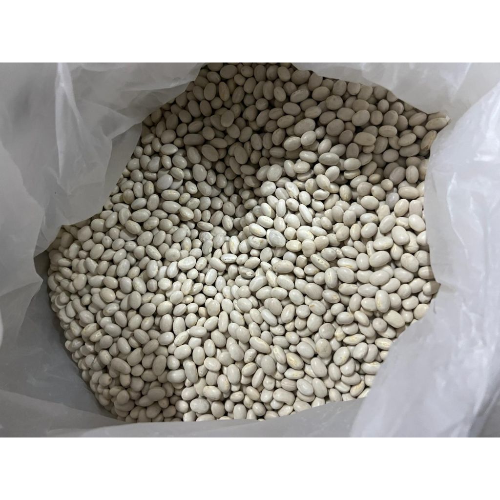 FAGIOLI CANNELLINI DEL POLLINO 100% BIO