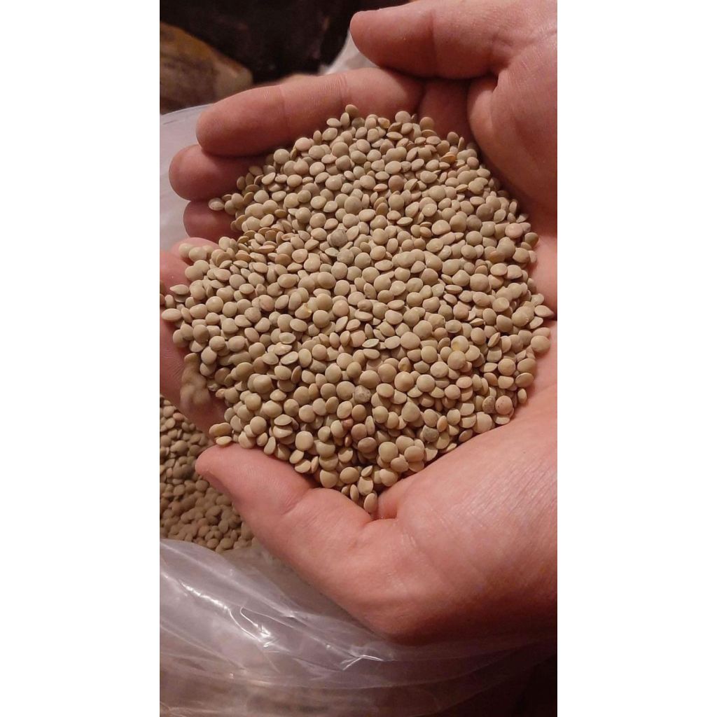 LENTICCHIE DEL POLLINO 100% BIO