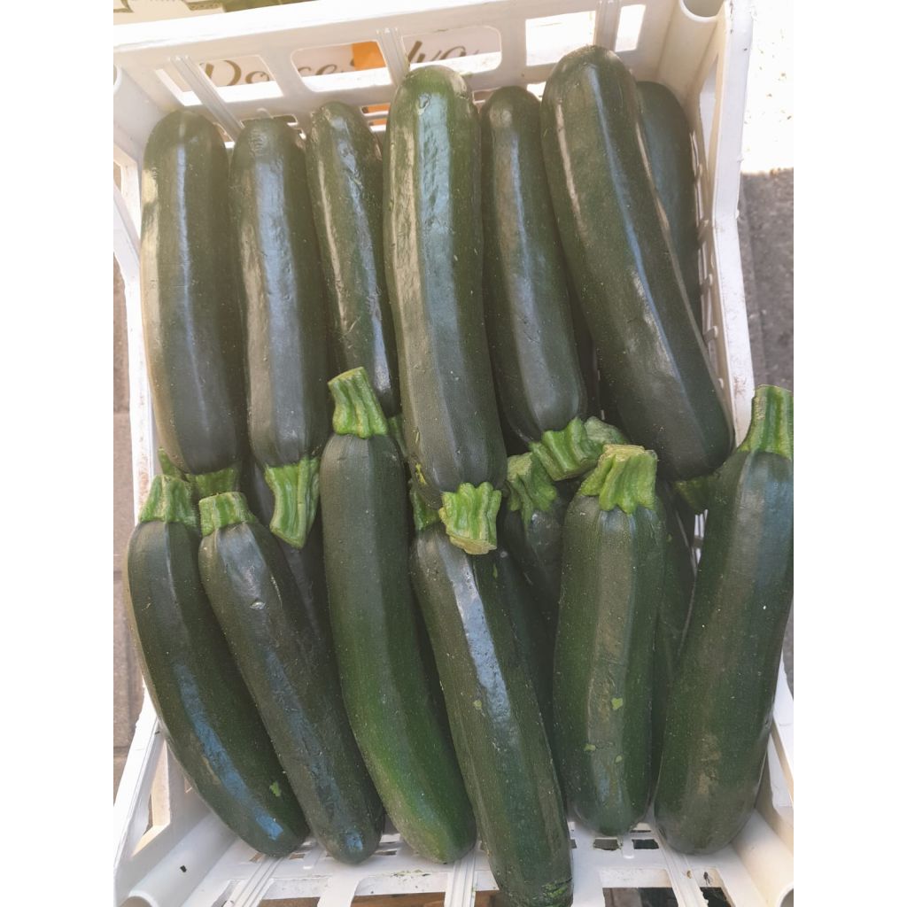 Zucchine al kg