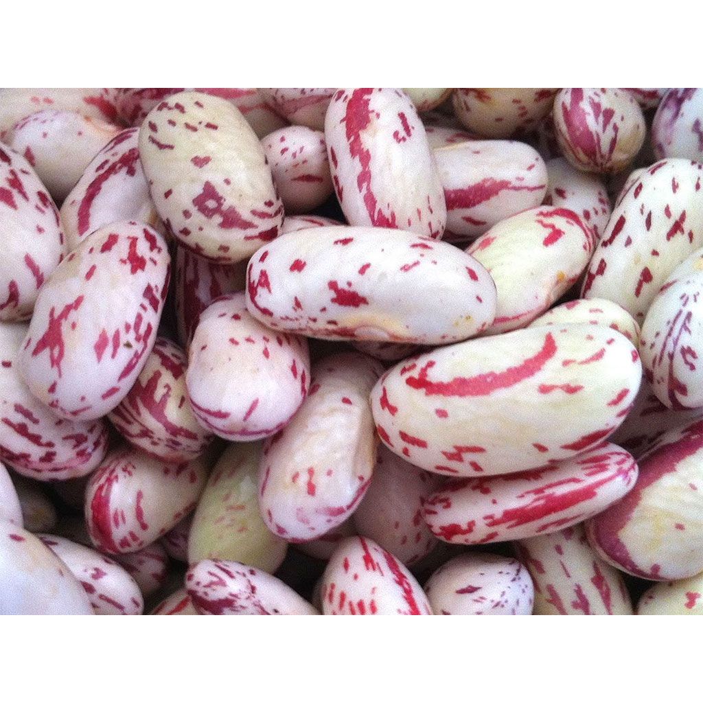 Fagioli Borlotti Calabria