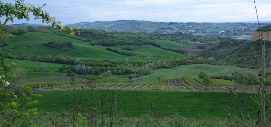 Azienda Agricola Mordini