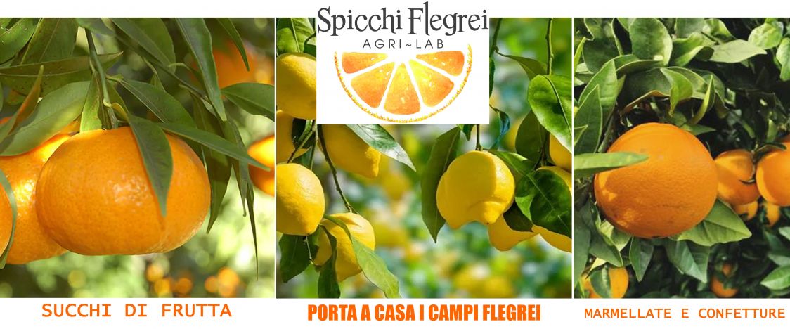 Spicchi Flegrei