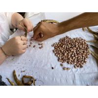 0bf4b7035ec7489fbc41f46acc08680a