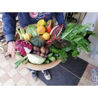 81c4a1f1d8d64fb5a3286391761ebd7c