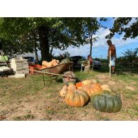 d659009066a44e20985404d41c5f2d3d