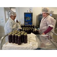 whatsapp image 20231122 at 17.24.24