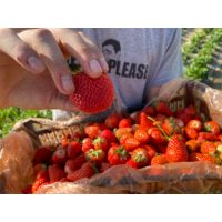 whatsapp image 20240119 at 10.31.58 1