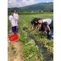 whatsapp image 20240122 at 12.18.37