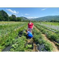 whatsapp image 20240122 at 12.18.39