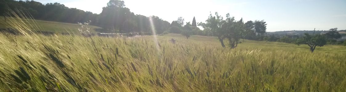 Azienda agricolo biologica Fatafarina di Giulia Costanza Colucci