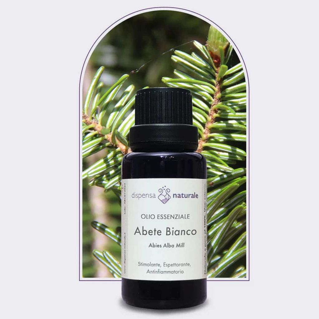 Olio essenziale di ABETE BIANCO SPONTANEO - 10 ml
