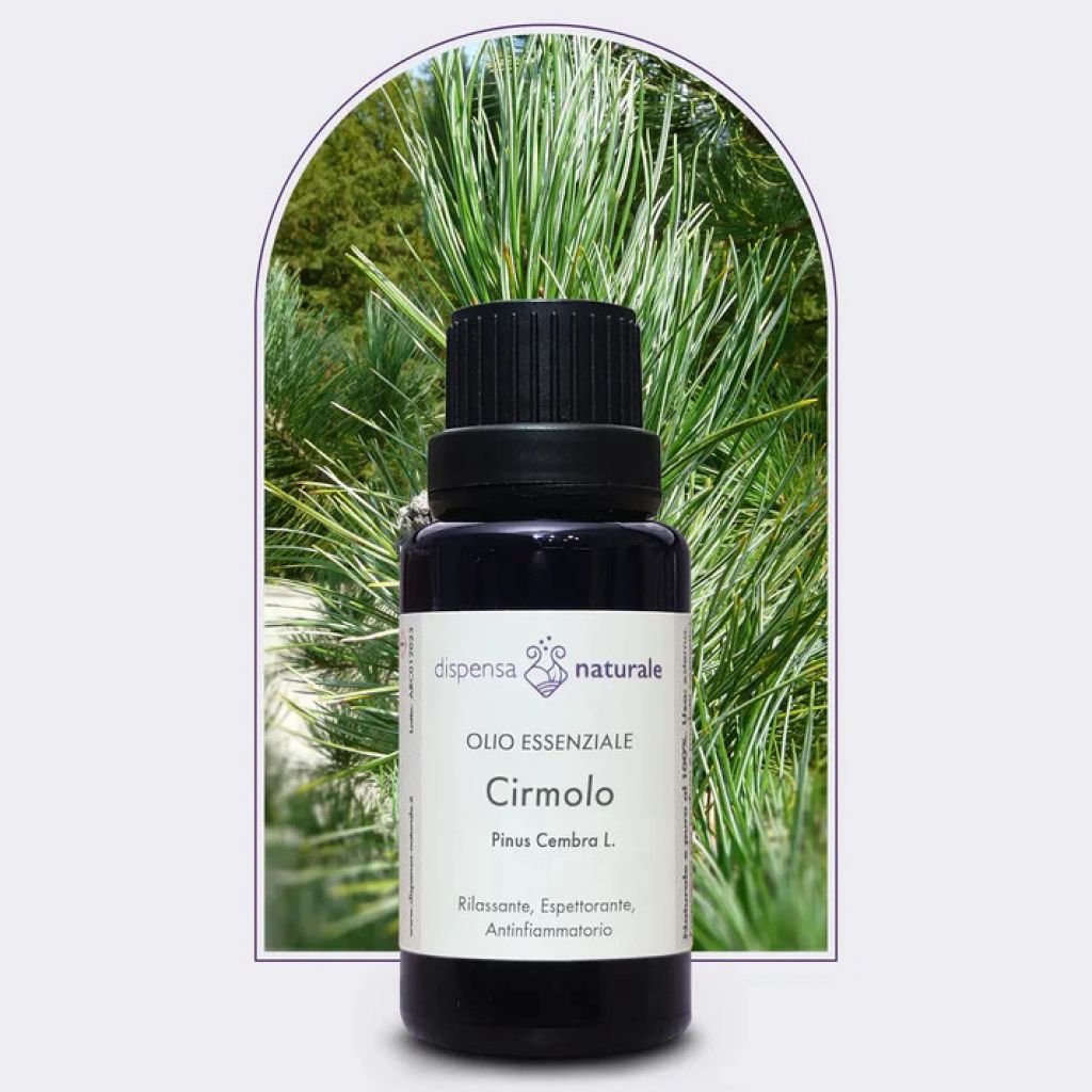 Olio Essenziale di Cirmolo Spontaneo -10 ml