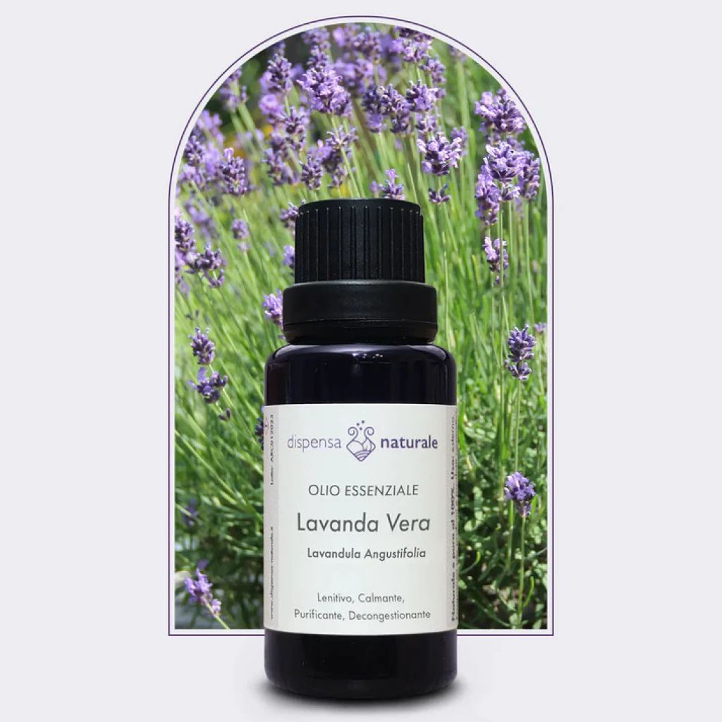 Olio Essenziale di Lavanda Vera da Monti Liguri, senza pesticidi -50 ml
