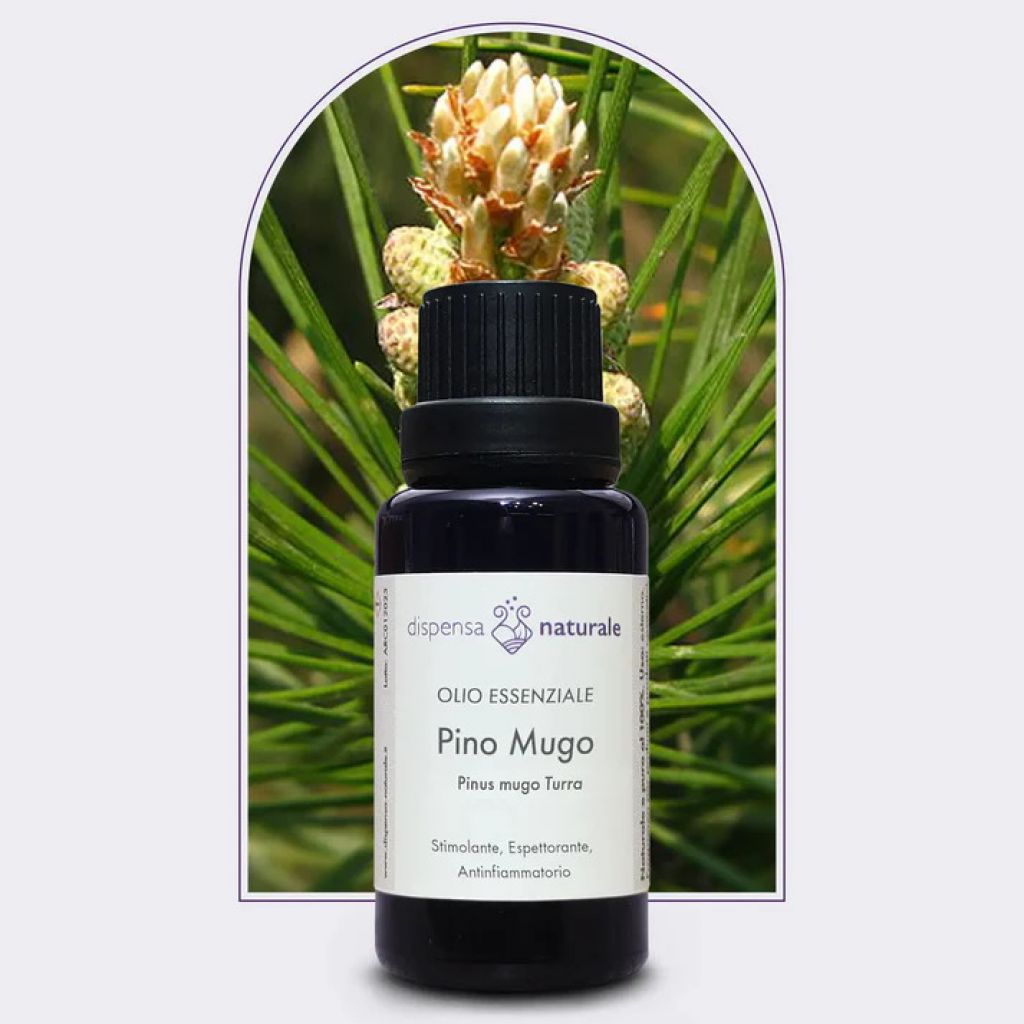 Olio Essenziale di Pino Mugo Spontaneo -5 ml