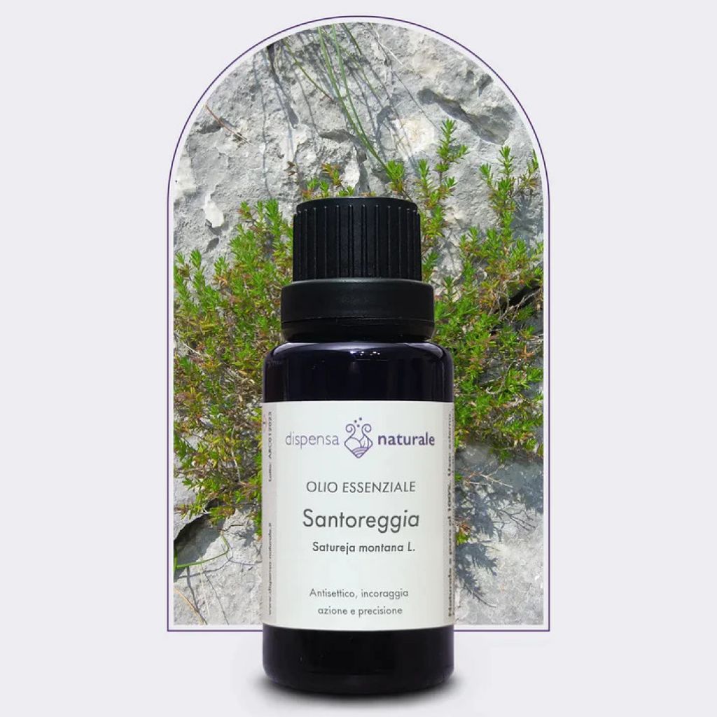Olio Essenziale di Santoreggia artigianale Italiana, senza pesticidi -10 ml