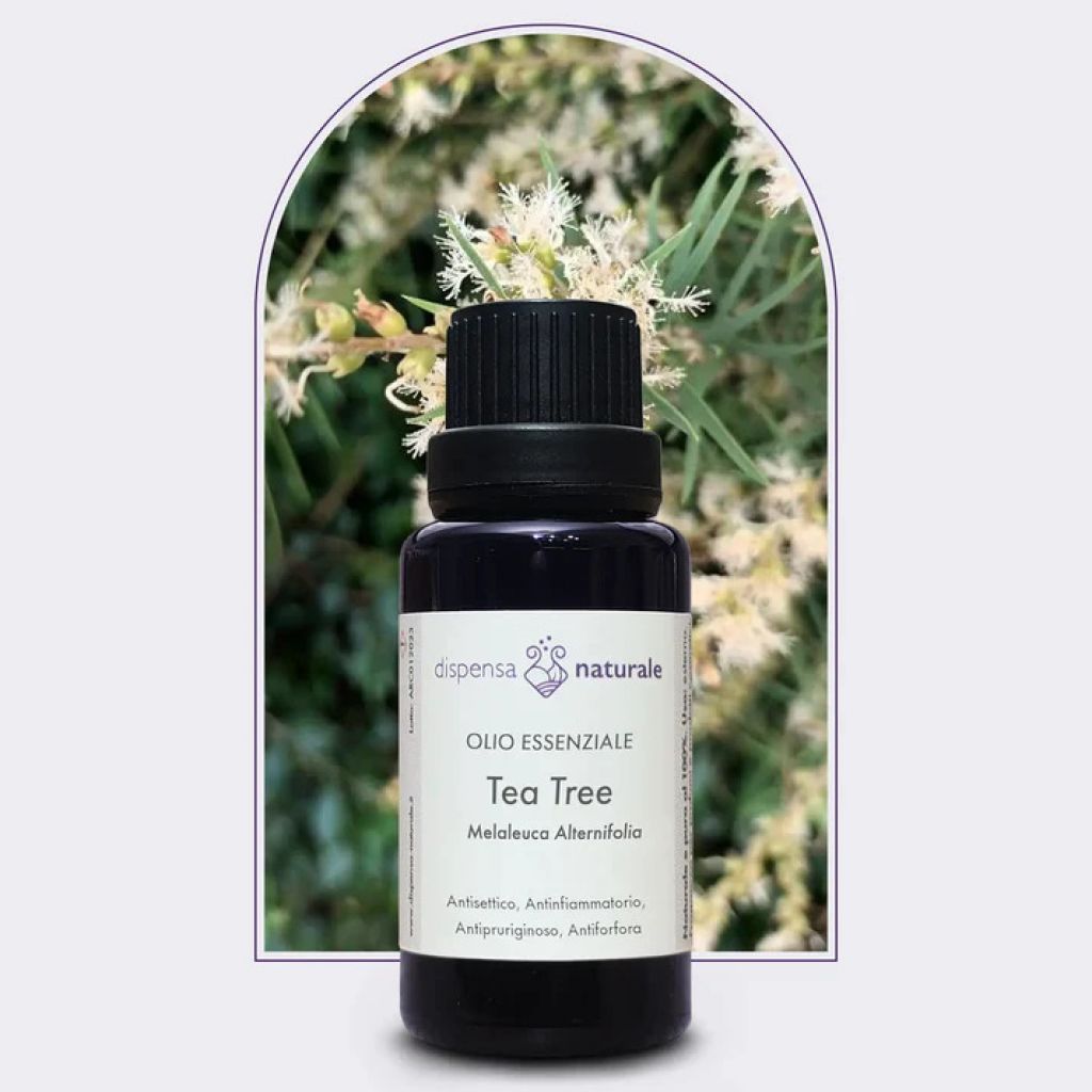 Olio Essenziale di Tea Tree spontaneo, Australia -10 ml