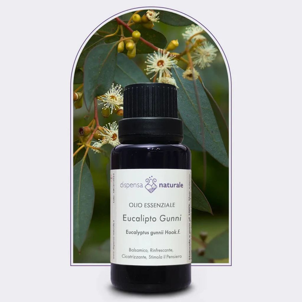 Olio Essenziale di Eucalipto Gunni spontaneo, Sardegna -5 ml