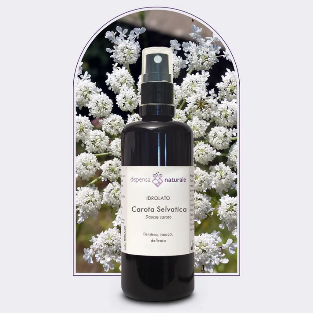 Idrolato di Carota selvatica italiana senza pesticidi e conservanti - 50 ml