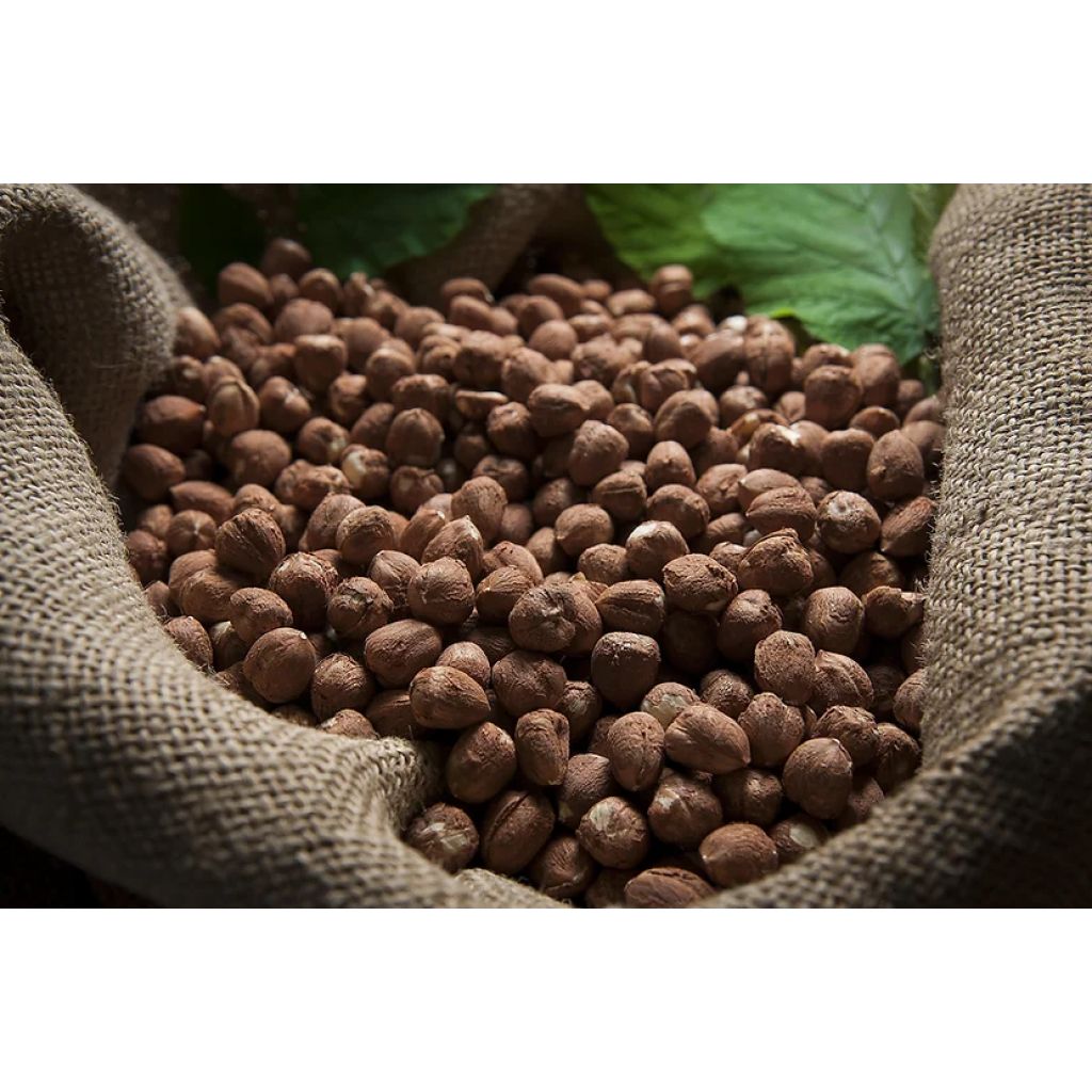 Nocciole I.G.P. Piemonte sgusciate - 250 g