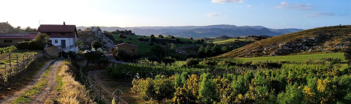 Azienda Agricola Mirafruitsicilia