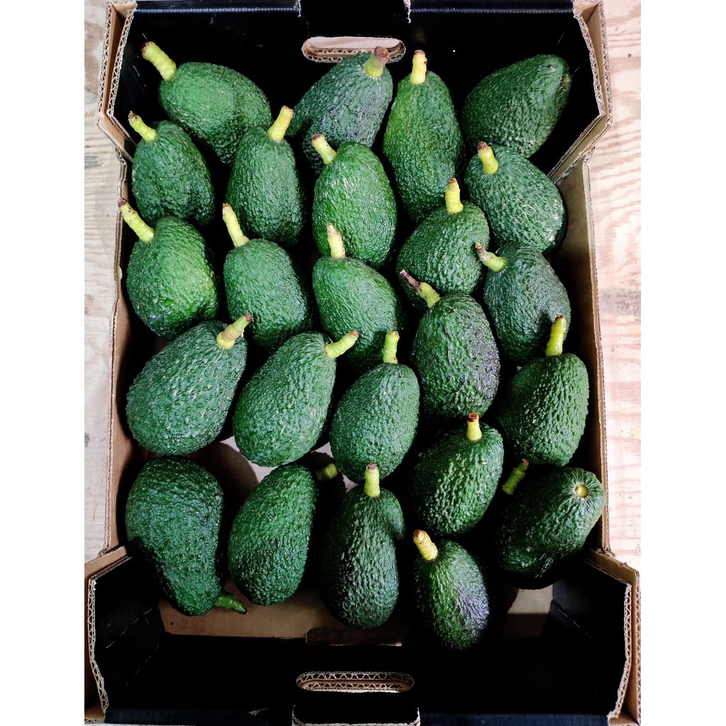 Cassetta di Avocado Hass da 4 kg