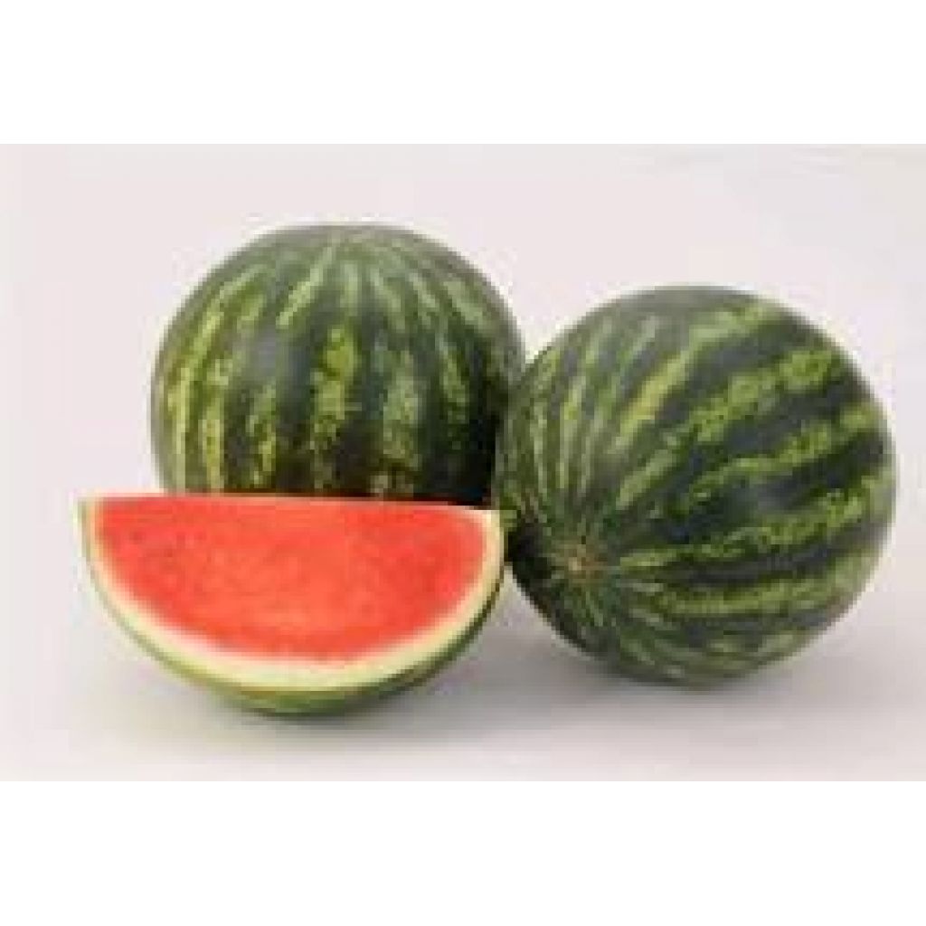 Mini Cocomeri - CA' BARLETI